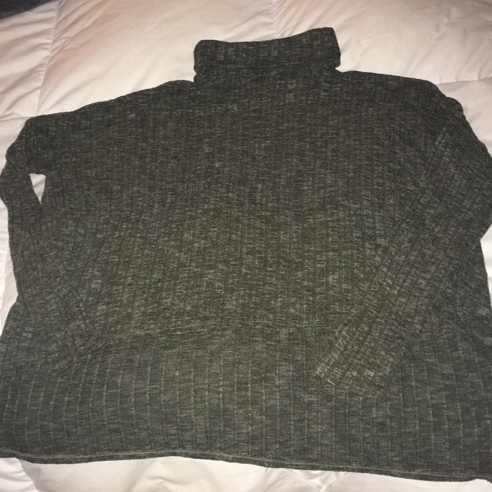 Cozy crop in front AEO turtle neck.